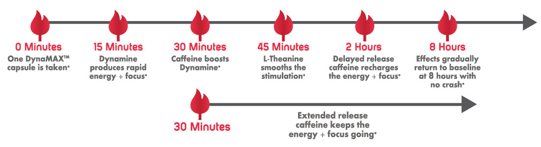 DynaMax Timeline Of Action